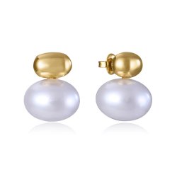 PENDIENTES VICEROY 14203E01012