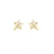 PENDIENTES ESTRELLAS ORO Y BRILLANTE PM-385